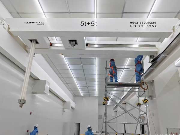 非标定制百级桥式起重机