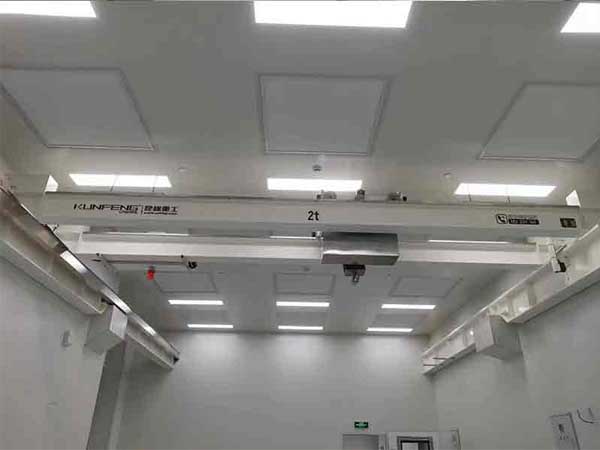 防摇摆洁净室起重机